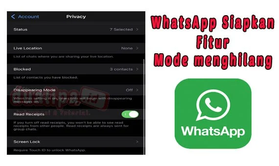 WhatsApp Siapkan Fitur Mode menghilang