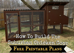 chicken build simple suburban coop plans printable chickens coops designs building blueprints diy simplesuburbanliving homestead additions farm