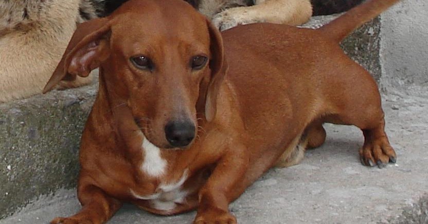 Como evitar envelhecer da pessoa