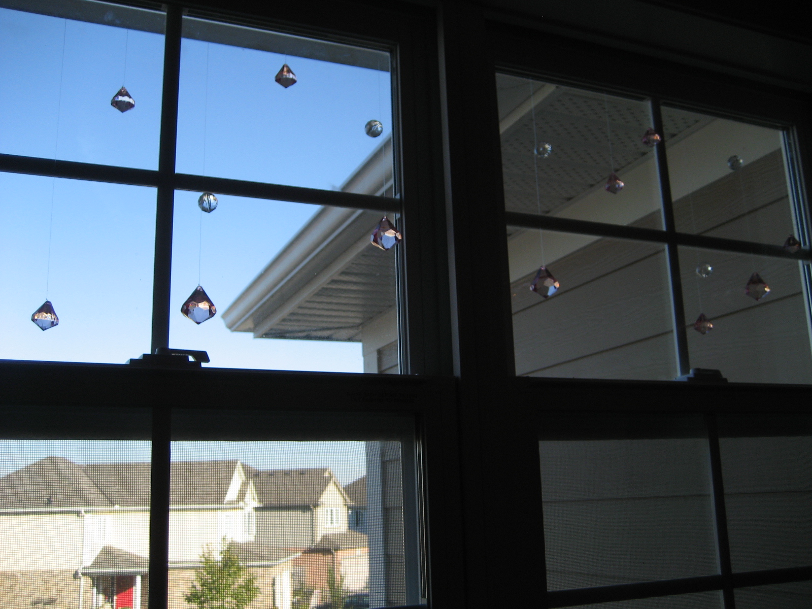 prism 7 windows prism 7 windows