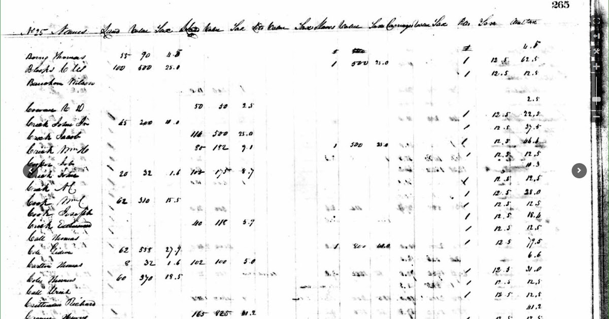 MarieB's Genealogy BlogSoutheastern USA 1838 Tax listWilliamson Co