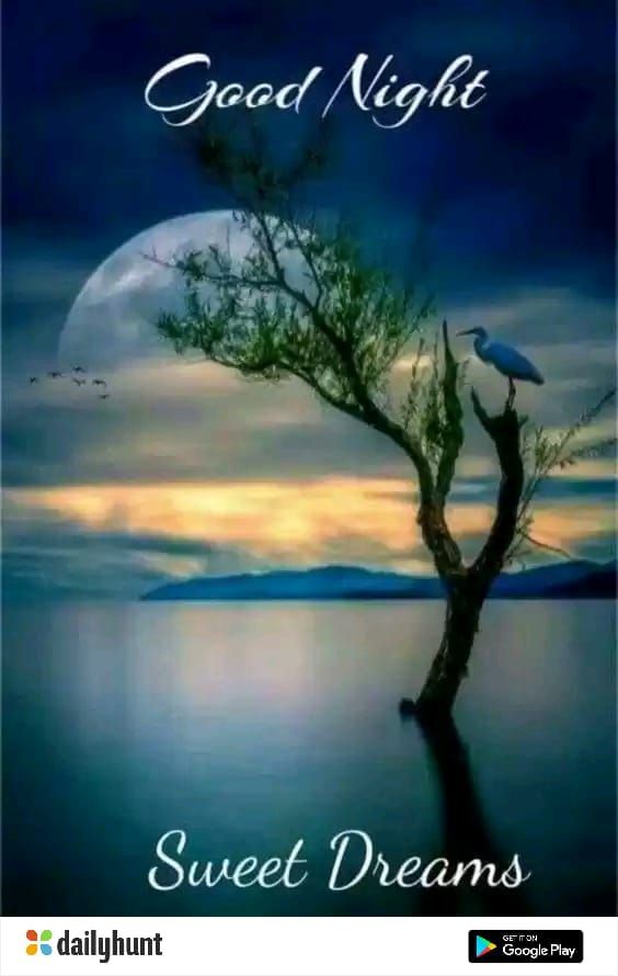 good night cute images