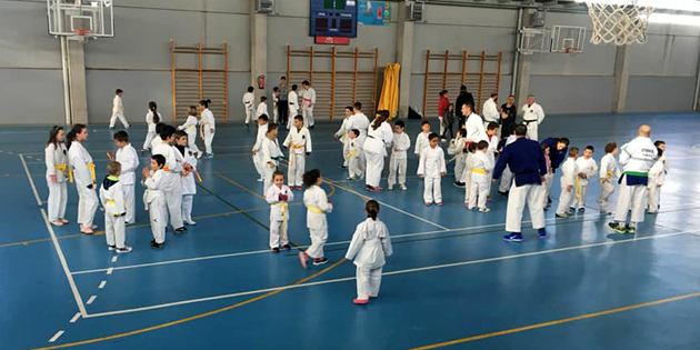 Karate Escolar Seseña
