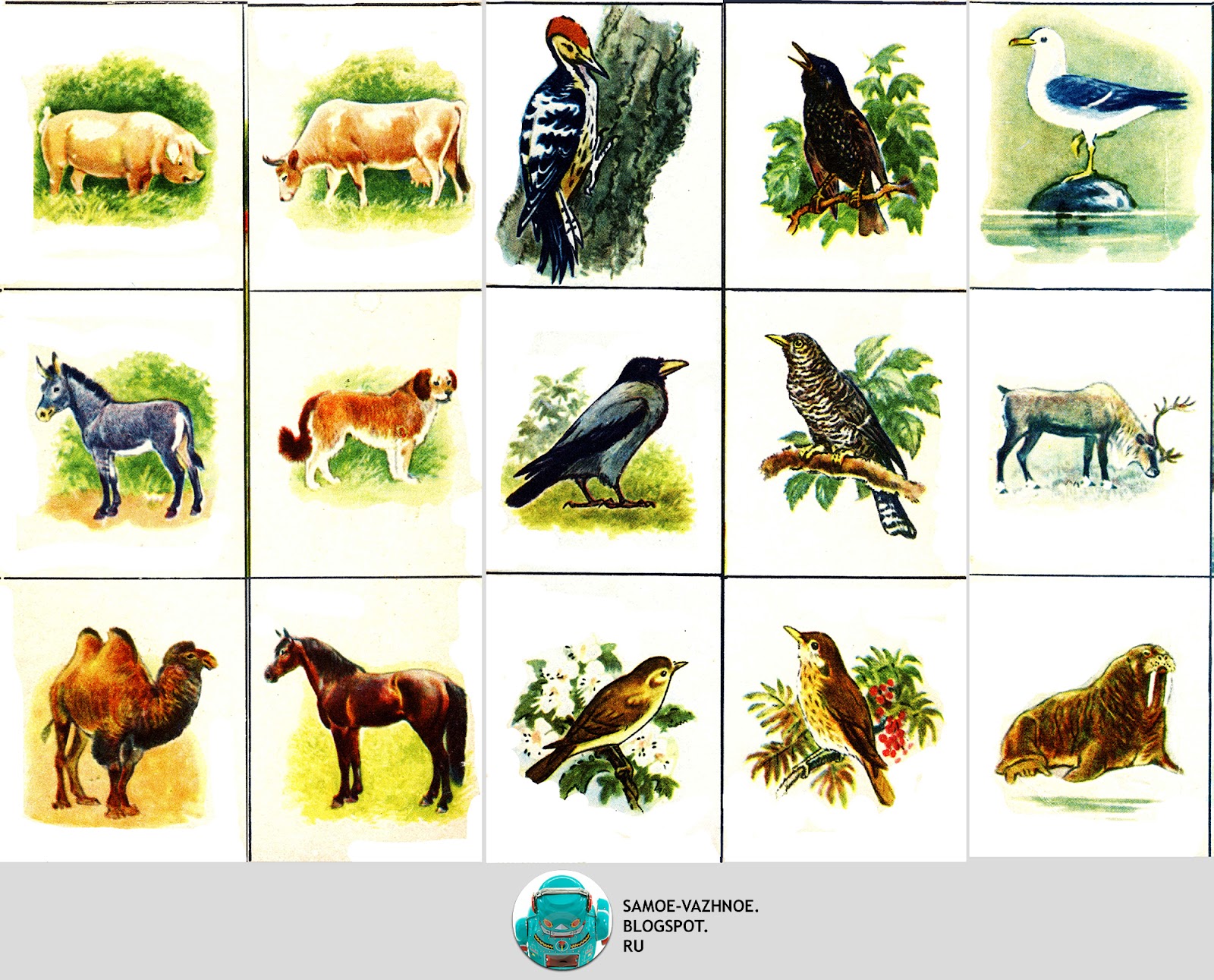 Карточки домашние дикие. Зоологическое лото "в мире животных". Зоологическая игра животные лото. Лото животные для детей. Карточки зверей для детей в картинках.