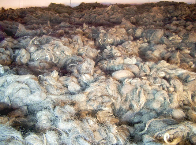 Άουσβιτς Auschwitz Освенцим 奥斯威辛