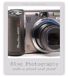 Blog photography with a point and shoot
