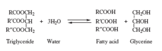 Вещество соответствующее общей формуле rcooh. Общую формулу RCOOH имеют.