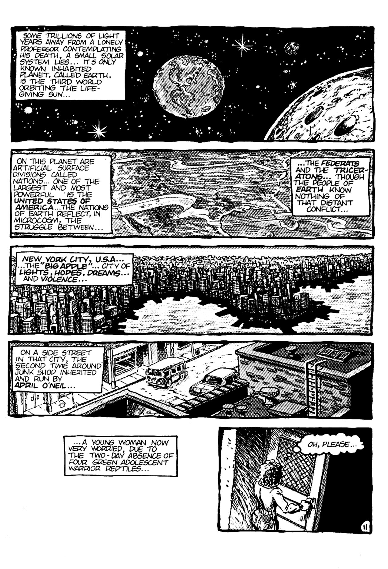 Teenage Mutant Ninja Turtles (1984) Issue #6 #6 - English 13