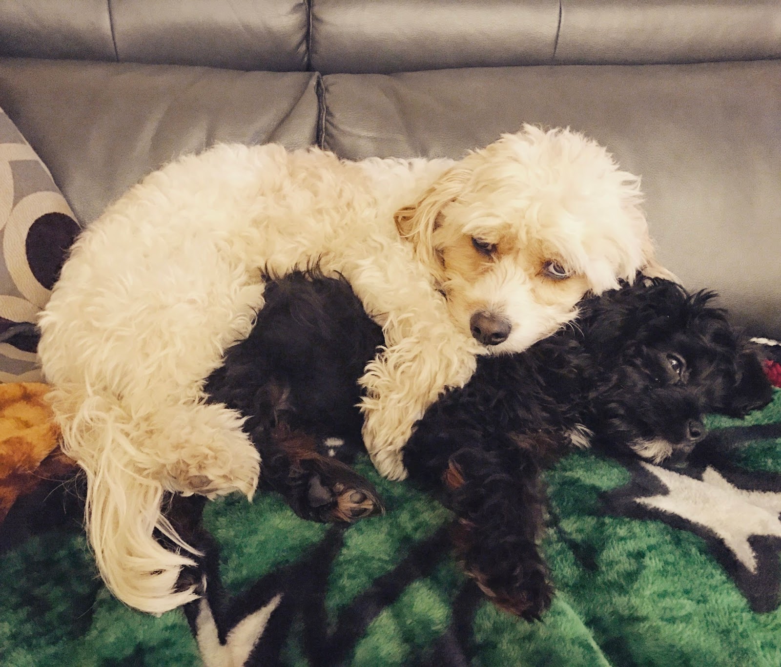 Artist Doodles All Over Walls Of The Exhibitionist Hotel In