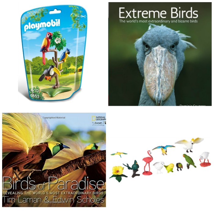 extreme birds the world s most extraordinary and bizarre birds ebook montessori inspired bird gifts and resources for children extreme birds the world s most extraordinary and bizarre birds ebook montessori inspired bird gifts and resources for children