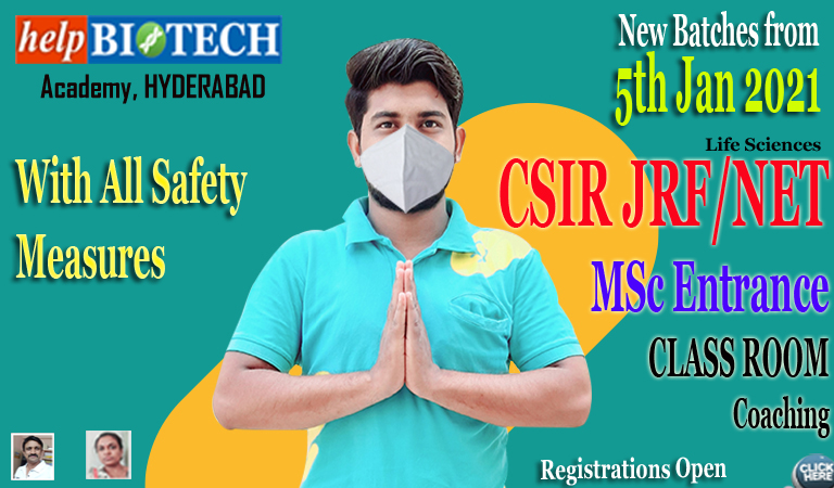 Rcb gurgaon dissertation picture