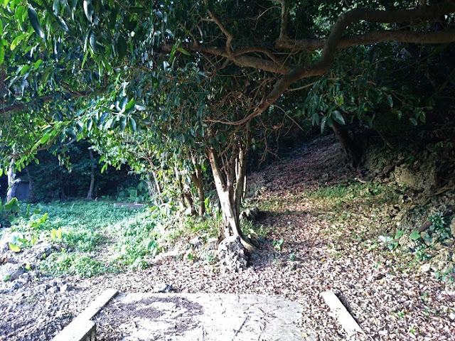 米須グスク 米須グスクの写真
