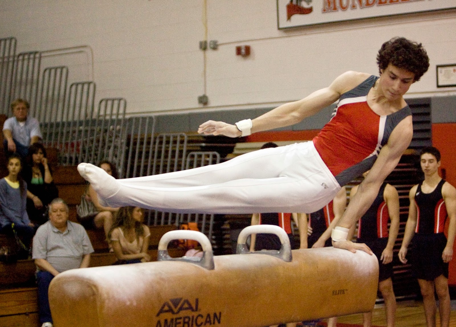 Mark Kodiak Ukena IHSA Boys Gymnastics Sectionals