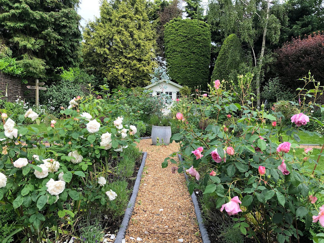 Different Types Of Flowers Roses