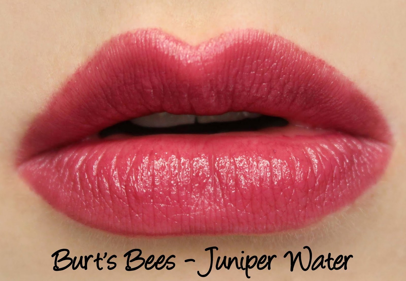 Burt's Bees Lipsticks Sunset Cruise and Juniper Water Swatches