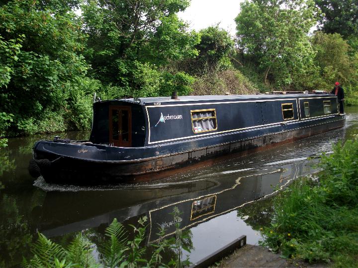 Vinnyman's Birding and Nature Blog.: Boat Inn (Minworth) Canalside walk.