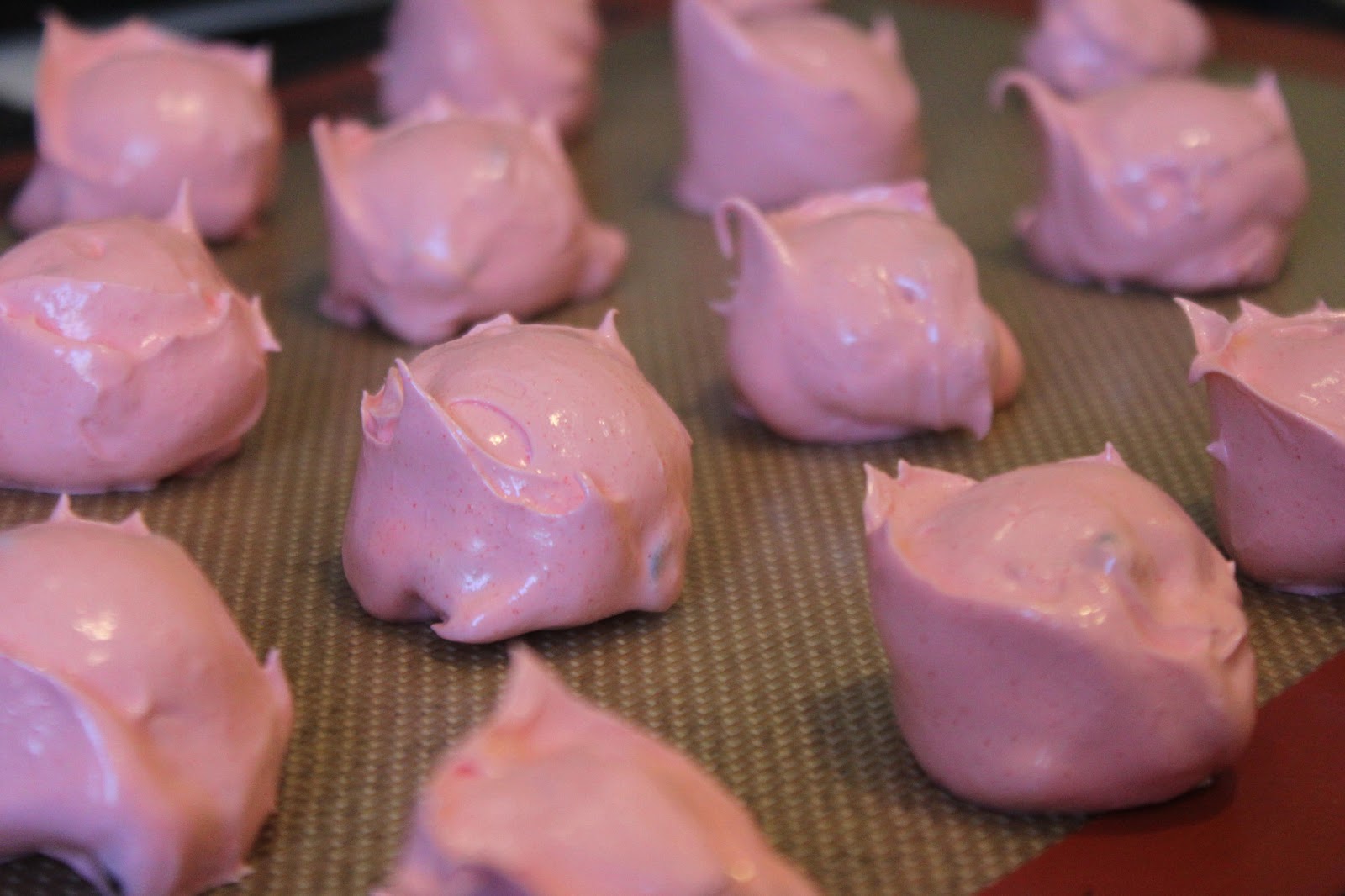 Sewing our Sanity Raspberry Kisses, Gluten Free Meringues!