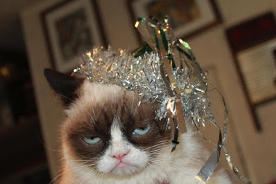 2017 Happy New Year Cat Memes 2017 Happy New Year Cat Memes