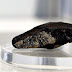 How Rare Minerals Form When Meteorites Slam Into Earth