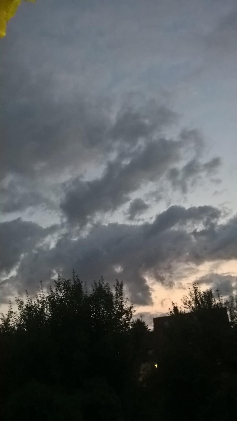 Chronik Der Dresdner Gardinen Und Dresdner Spitzen