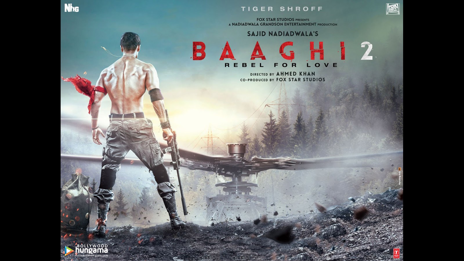 DOWNLOAD BAAGHI 2 (2018) FULL HD FREE - Download Latest Bollyood Movies