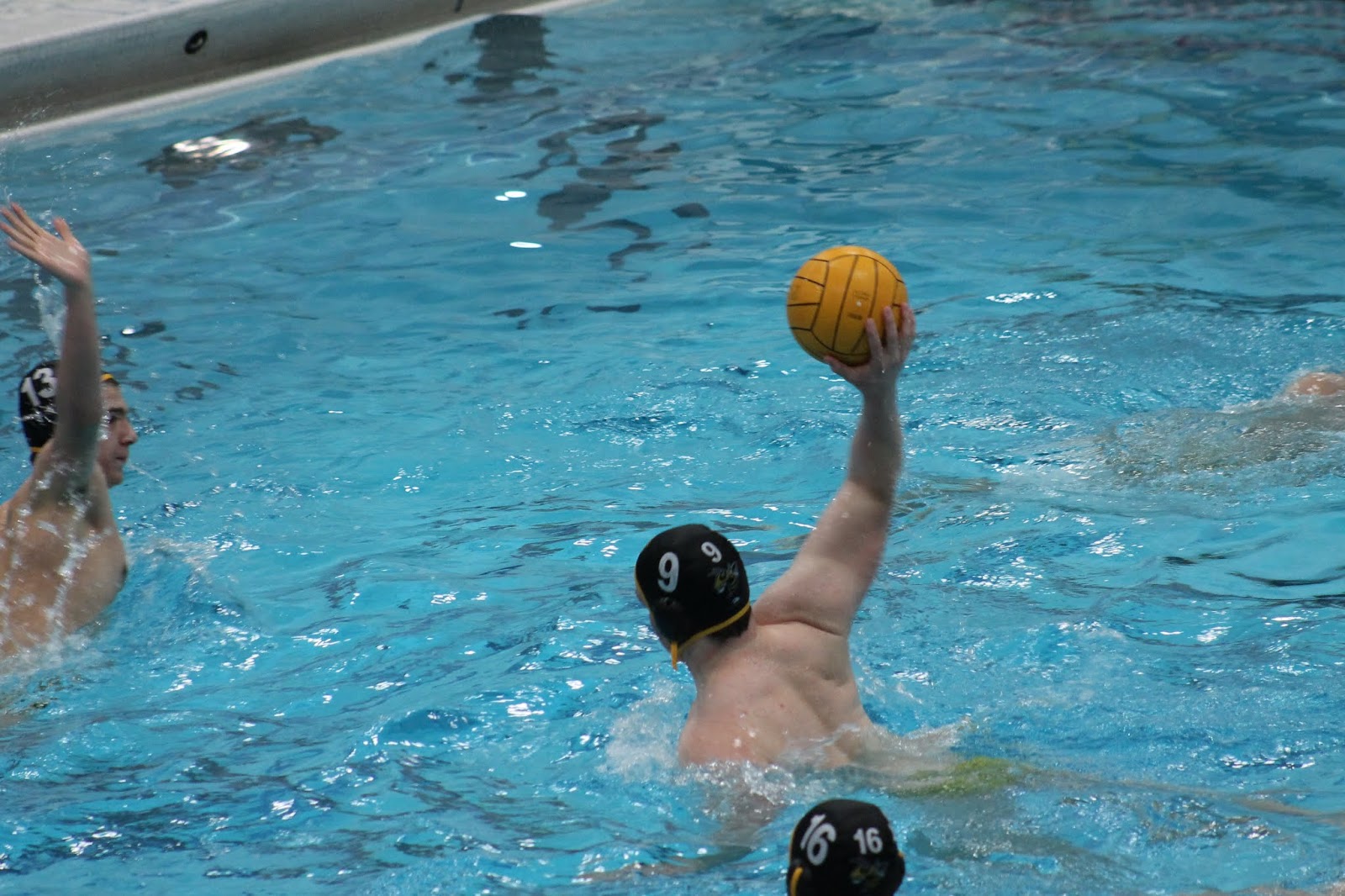 No Small Feet February 2019