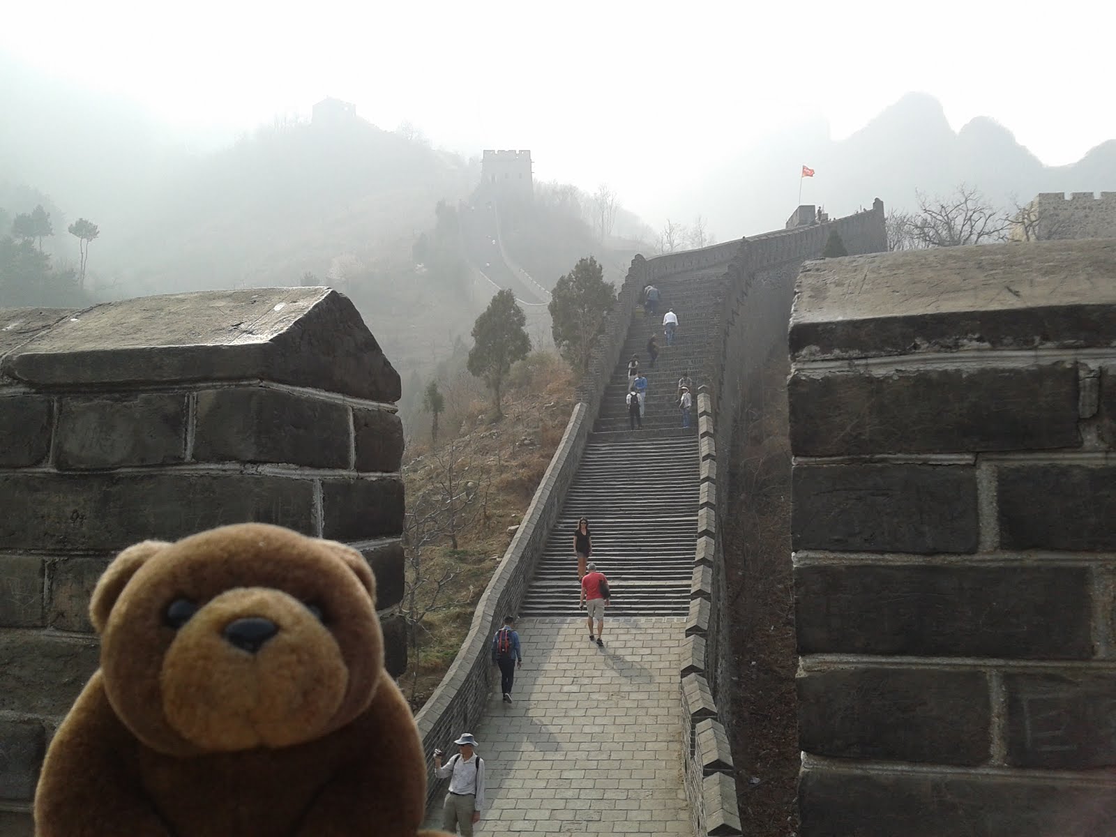 Teddy in Huangyaguan Great Wall, China