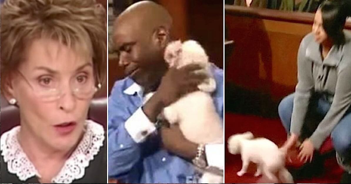 Judge Judy Allows Stolen Dog To Run Loose In Courtroom To Find His True