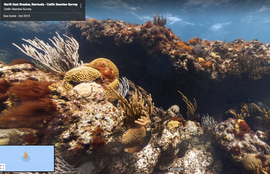 Learn Lead Grow Take a Dive with Google Underwater Street View