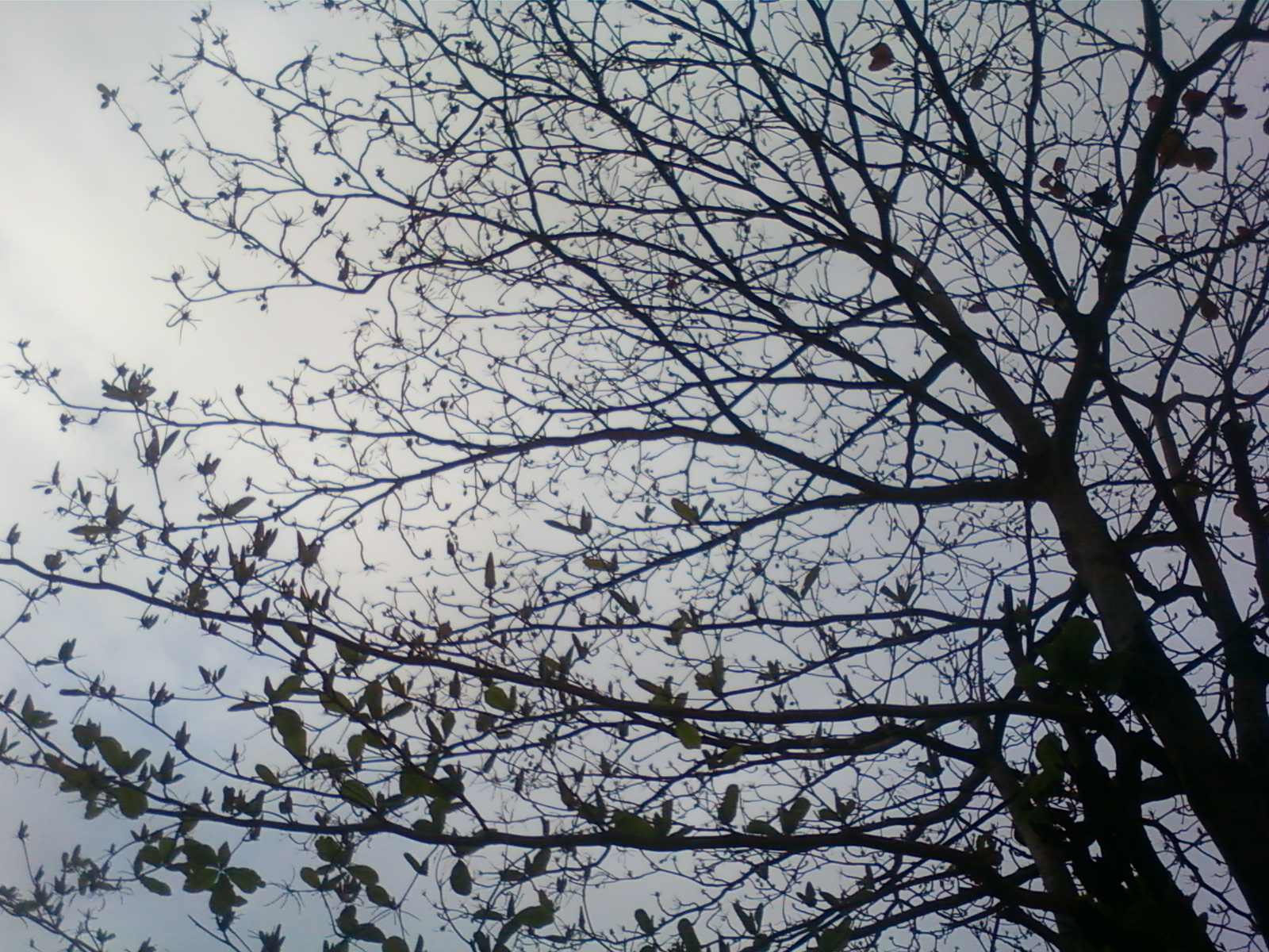 Partager avec plaisir - Recettes de cuisine faciles et idées de ...