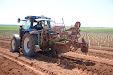 We will get Tempranillo wine in a few years. New planting vineyards / Tendremos vino tempranillo en unos años. Nueva plantación de viñedo