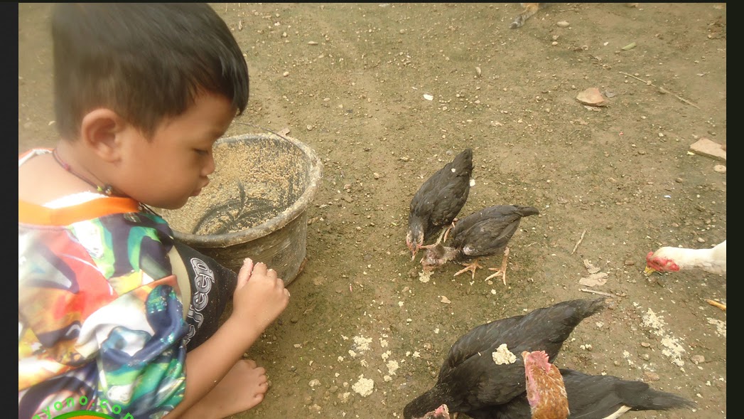 Uyahmah Tara Tees Ka Luhur Buah Ragrag Moal Jauh Tina Tangkalna Rebo Nyunda