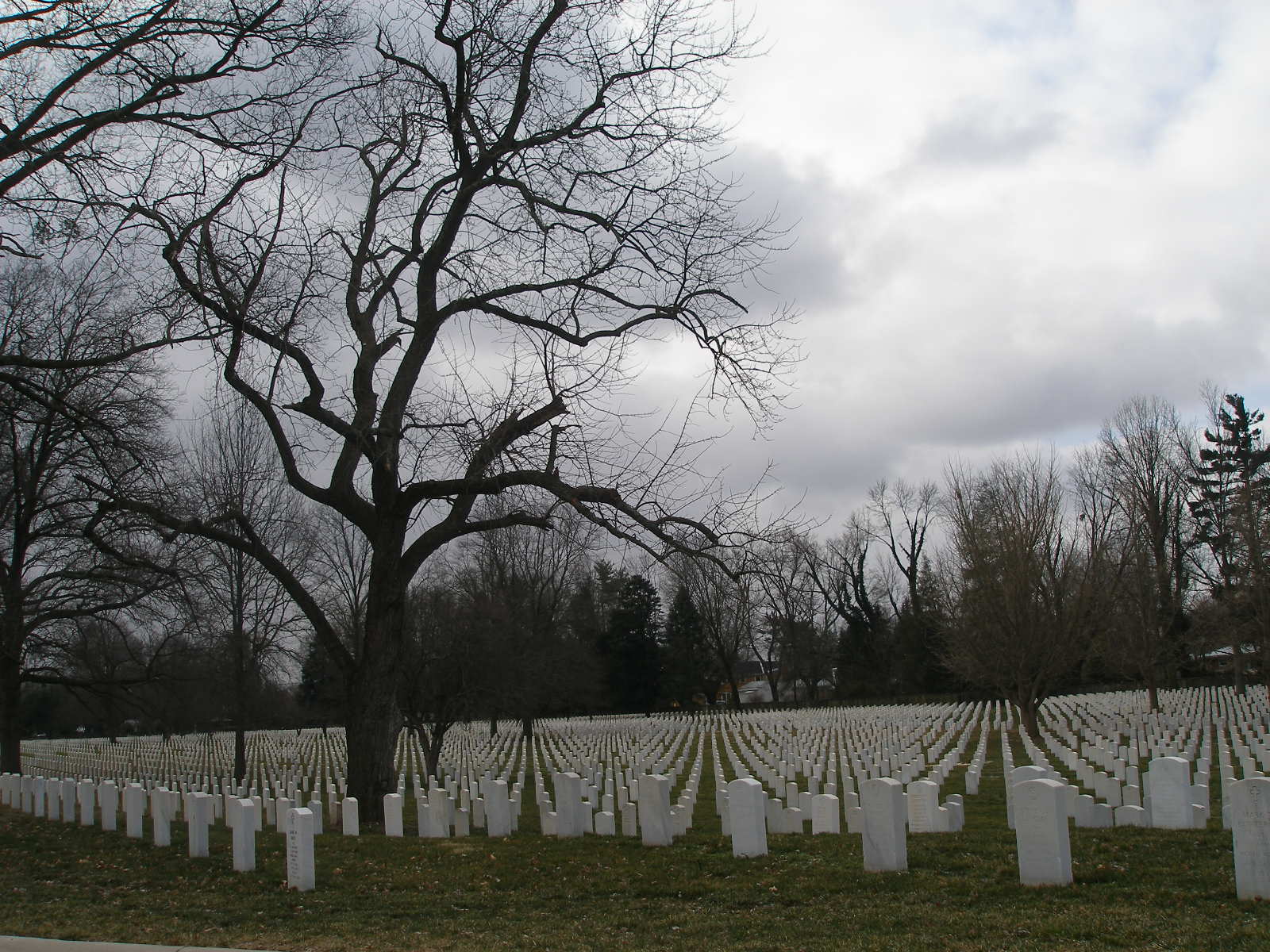 JSH's Visual Slushpile Zachary Taylor National Cemetery