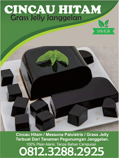 +62812 3288 2925, Cincau Hitam Bubuk, Cincau Hitam Untuk Bayi, Cincau