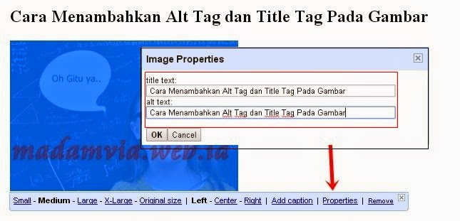 Optimasi SEO Menambahkan Alt Tag dan Title Tag Pada Gambar