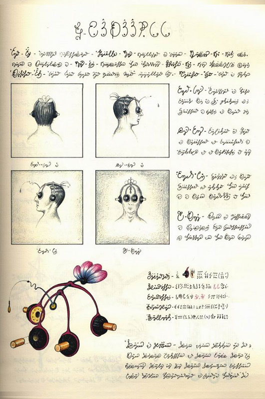 истории Истории : Самая странная литературная аномалия — книга Codex ...