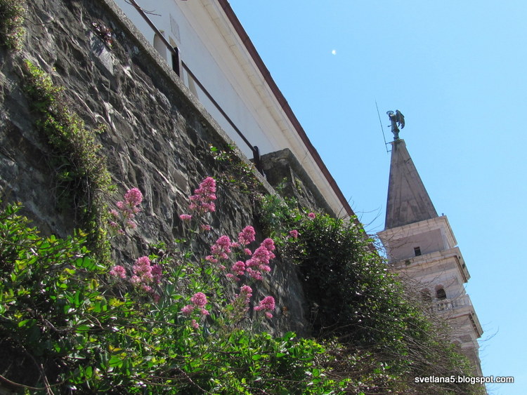 Piran Slovenija