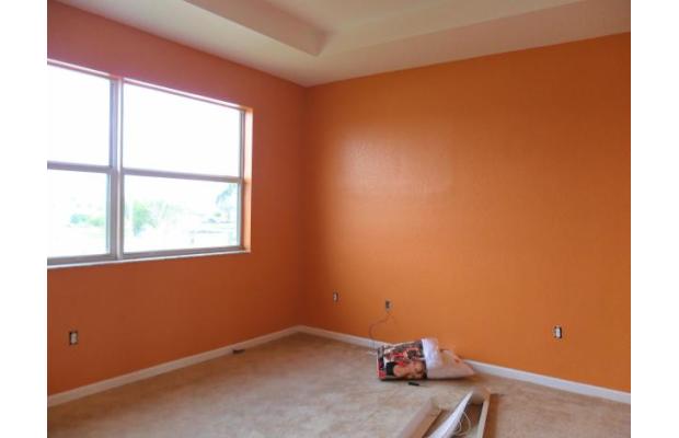 PROTEC SERVICIOS Y CONSTRUCCIONES SRL: SERVICIO DE PINTURA INTERIOR