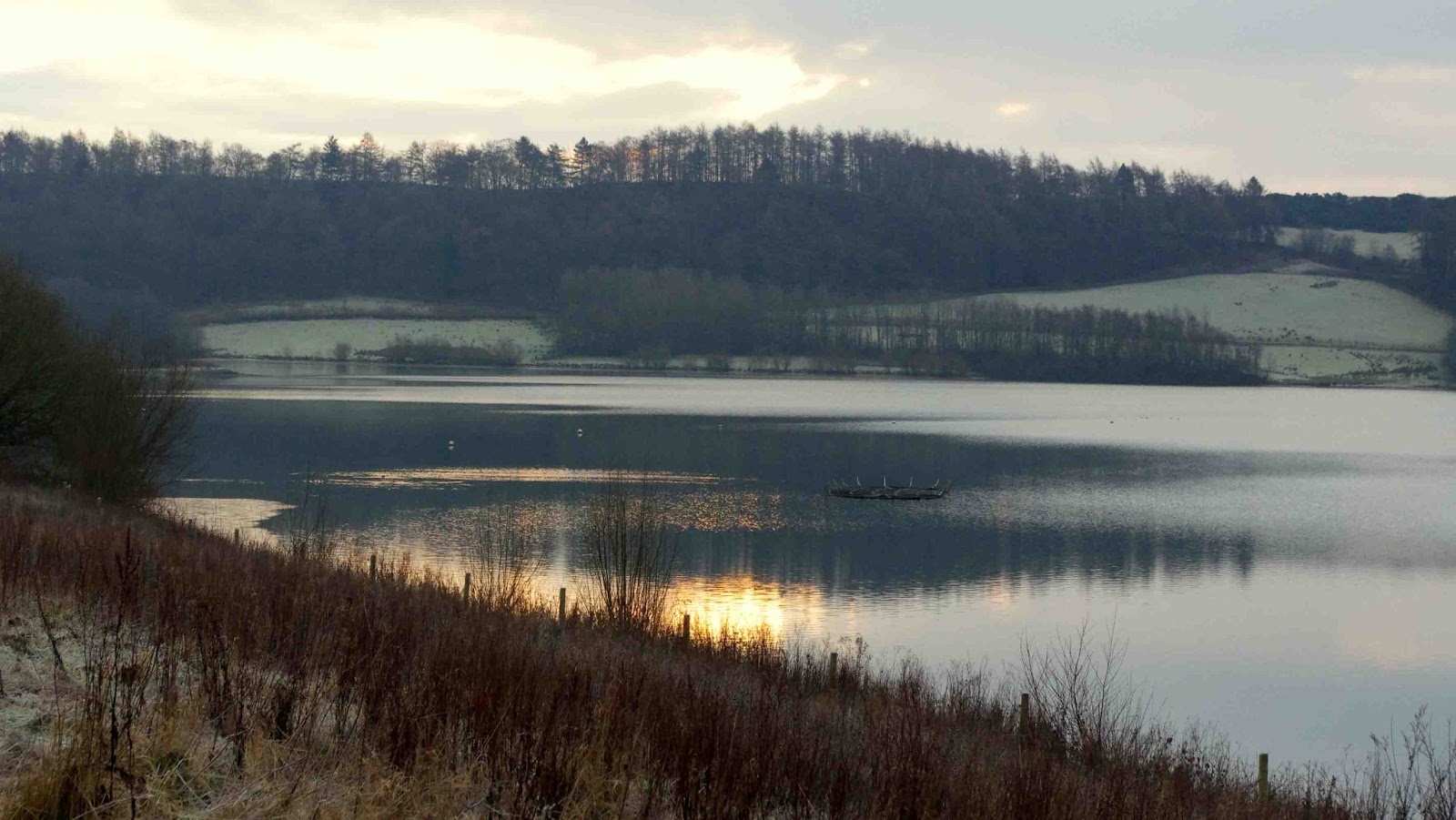 Out & About: Carsington Water Revisited