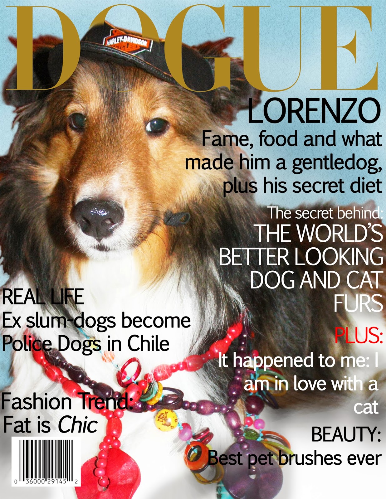 Dharia's Closet What if Vogue was a dog magazine?