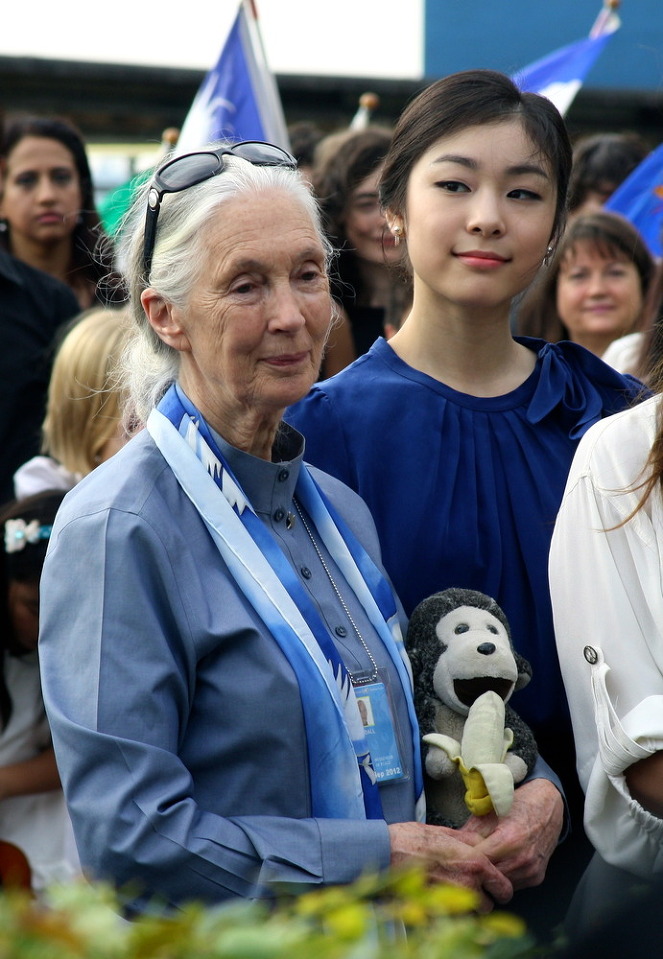 시험 문제로 나온 스티비원더와 김연아의 일화 | 인스티즈