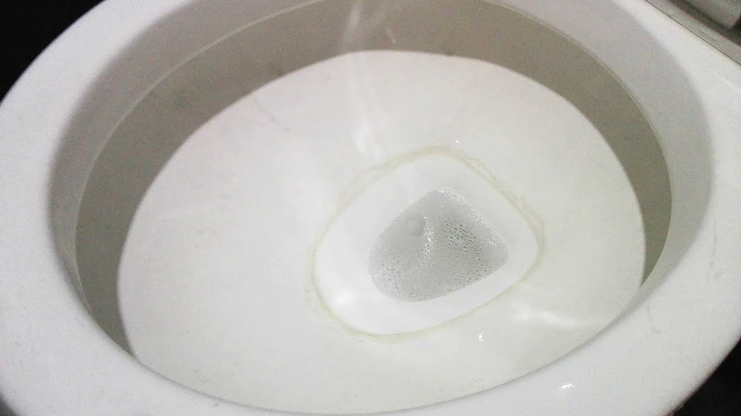 brandylovesvintage fastest way to clean toilet ring stains without