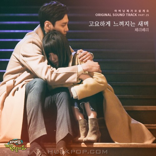 CherryBerry – Father, I’ll Take Care of You OST Part.25