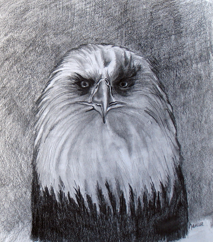 Glamping Baba My Mean Eagle