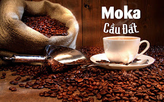 Cà phê hạt rang Moka