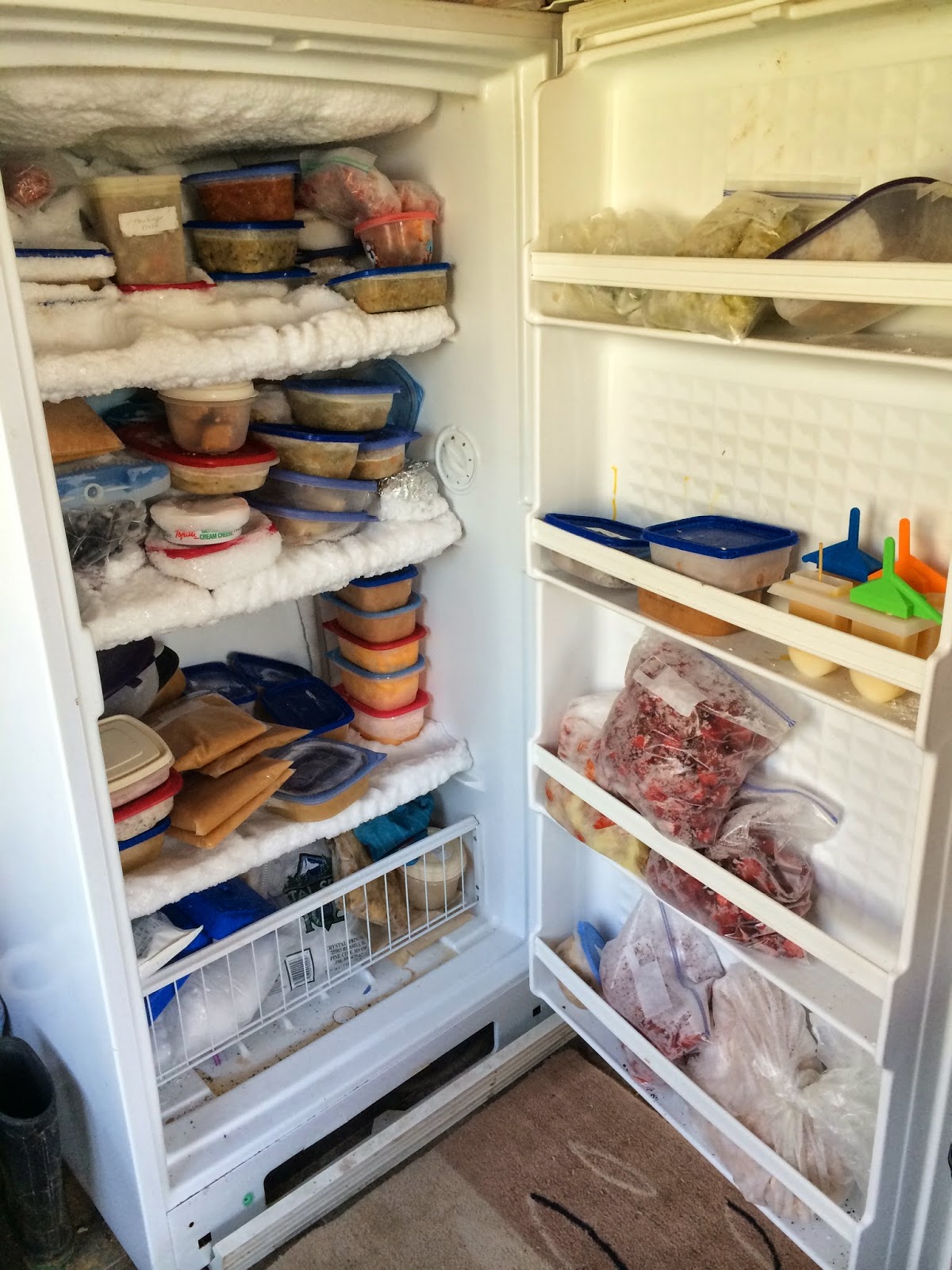 Harvest Moon by Hand Freezer Organization