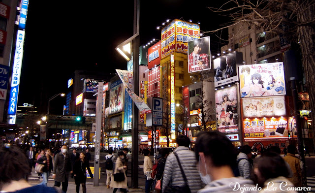 Japón primavera 2016 - 18 días (con bajo presupuesto) - Blogs de Japon - Día 6 - Nikko - Akihabara (16)