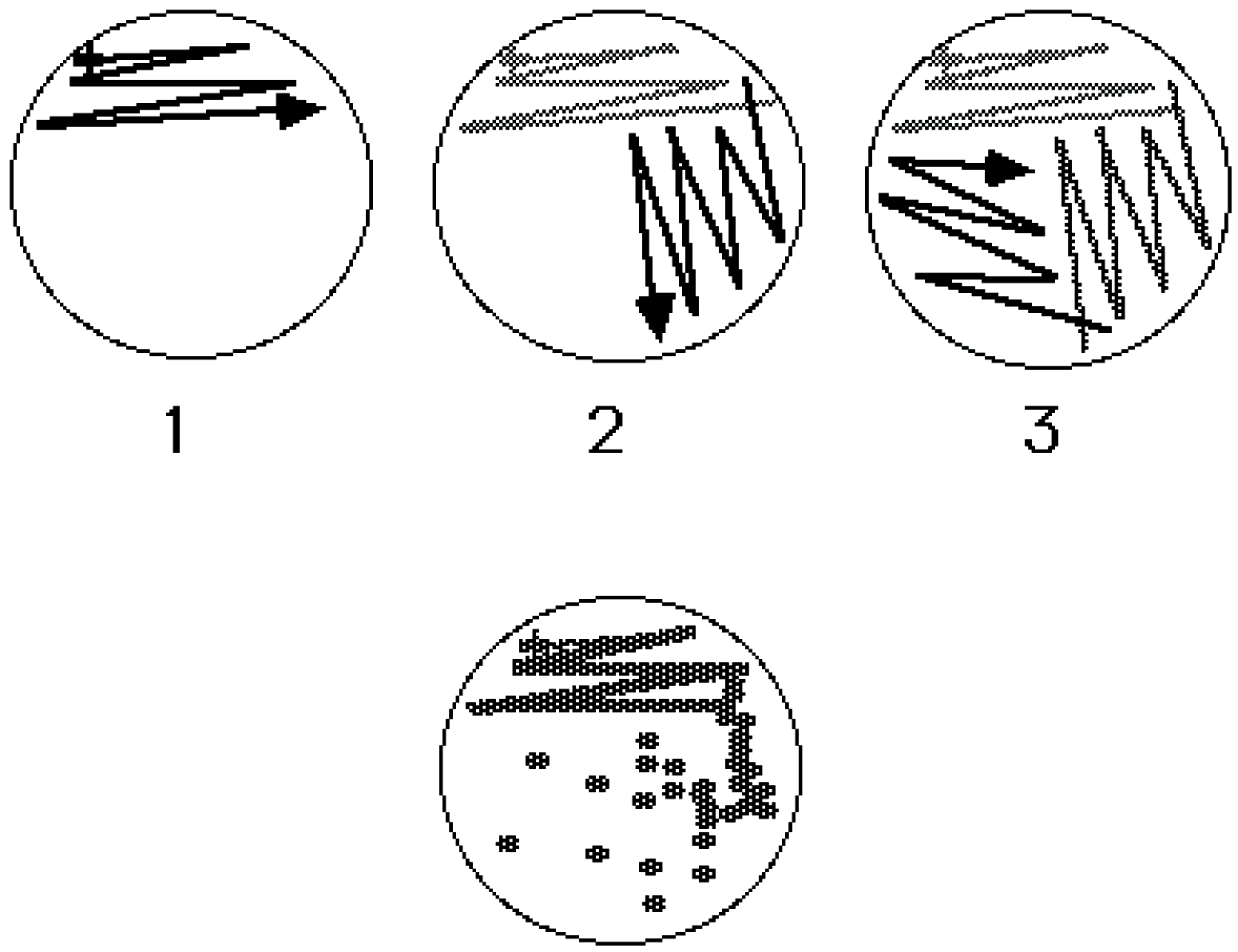 BioResource Yeast Culture cell number, Cell Size Methods and