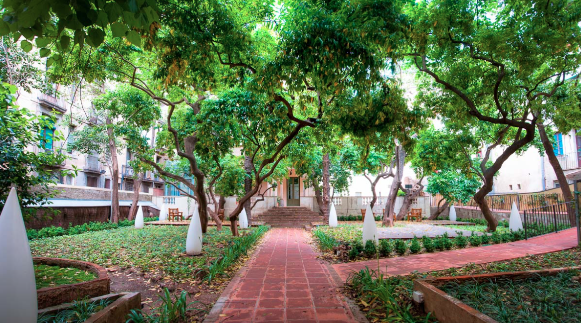 TRACYCORRECAMINOS: EL JARDÍN ESCONDIDO