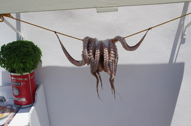 Octopus Paros Octopus Paros
